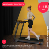 ������� ������� �������� SVENSSON BODY LABS LIBRA ������ ������� ����������������� - V-SPORT ��������� ���� ARMSSPORT