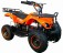 ����������� - V-SPORT ��������� ���� ARMSSPORT
