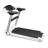 AppleGate ������� ������� - V-SPORT ��������� ���� ARMSSPORT