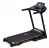 Royal Fitness ������� ������� - V-SPORT ��������� ���� ARMSSPORT