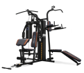 ������� �������� OXYGEN FITNESS VIKING  - V-SPORT ��������� ���� ARMSSPORT
