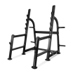 BRONZE GYM BR-1015 ���� ��� �������� - V-SPORT ��������� ���� ARMSSPORT