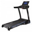 ������� ������� ������������� Proxima Rossi IPro PROT-229 �������� - V-SPORT ��������� ���� ARMSSPORT
