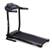 ������� ������� CARBON FITNESS T306 s-dostavka - V-SPORT ��������� ���� ARMSSPORT