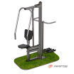��� ���� + ������� ARMS079 s-dostavka  - V-SPORT ��������� ���� ARMSSPORT