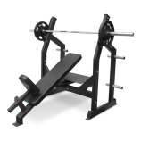 BRONZE GYM AL-305 ������ ��� ���� ��� ����� - V-SPORT ��������� ���� ARMSSPORT