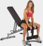 ������������� ������������ ������ Body Solid GFID-31 - V-SPORT ��������� ���� ARMSSPORT