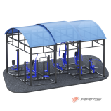 ������� ����� �� 10 ���������� ARMS300 s-dostavka - V-SPORT ��������� ���� ARMSSPORT