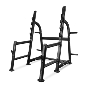 BRONZE GYM BR-1015 ���� ��� �������� - V-SPORT ��������� ���� ARMSSPORT