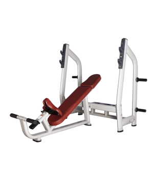 BRONZE GYM H-025 ������ ��� ���� � ������������� �������� - V-SPORT ��������� ���� ARMSSPORT