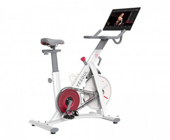 ������������ Yesoul BS3-W PRO PLUS - V-SPORT ��������� ���� ARMSSPORT