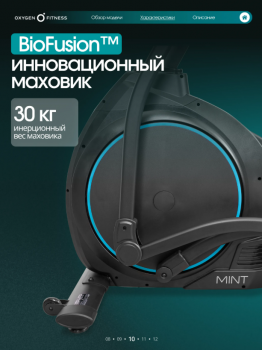 ������������� �������� �������� OXYGEN FITNESS MINT � ������� ����� proven quality - V-SPORT ��������� ���� ARMSSPORT