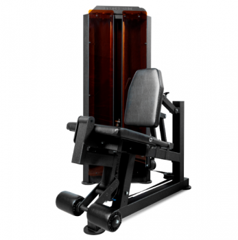 ���������� ��� ���������������� BRONZE GYM PARTNER ML-801 ������������ ��� ������ ����� vasil ����� b-300 - V-SPORT ��������� ���� ARMSSPORT