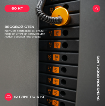 ������� �������� ���������������� SVENSSON BODY LABS RIGEL PLUS PRO (���� 60��) ����� - V-SPORT ��������� ���� ARMSSPORT