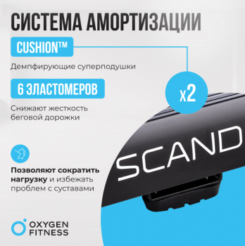 ������� ������� �������� OXYGEN FITNESS SCANDIUM B - V-SPORT ��������� ���� ARMSSPORT
