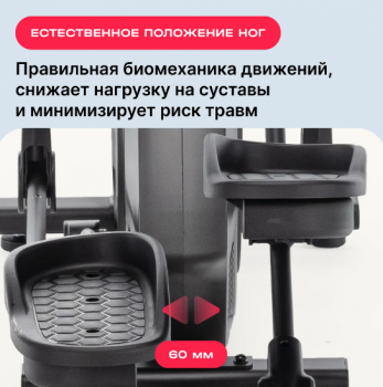������������� �������� �������� SVENSSON BODY LABS ZENON ������ ������� ���������� ������� ����� ������ �������� - V-SPORT ��������� ���� ARMSSPORT