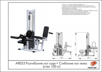 ���������� ��� ���� + �������� ��� ���� ���� 100 �� AR053 s-dostavka ARM - V-SPORT ��������� ���� ARMSSPORT