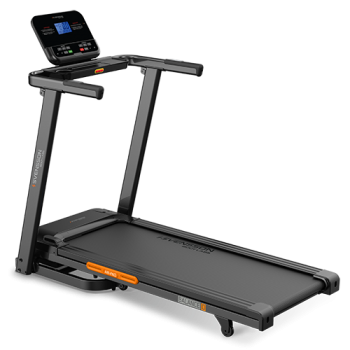 ������� ������� �������� SVENSSON BODY LABS BALANCE D s-dostavka - V-SPORT ��������� ���� ARMSSPORT